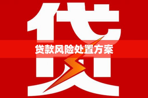 西吉贷款风险处置方案