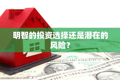 西吉明智的投资选择还是潜在的风险？