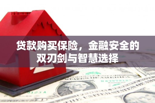 西吉贷款购买保险，金融安全的双刃剑与智慧选择