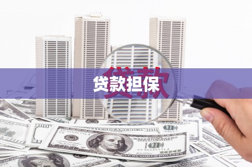 西吉贷款担保
