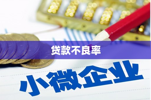 西吉贷款不良率