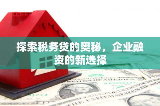 西吉探索税务贷的奥秘，企业融资的新选择
