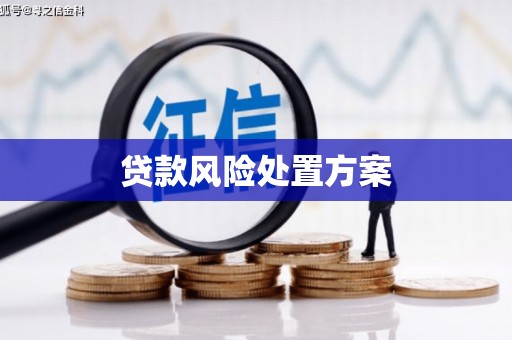 西吉贷款风险处置方案