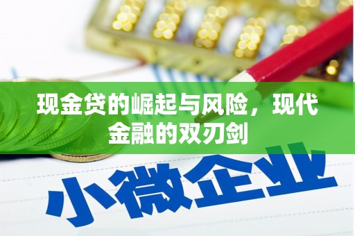 西吉现金贷的崛起与风险，现代金融的双刃剑