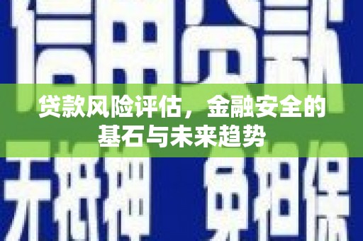西吉贷款风险评估，金融安全的基石与未来趋势