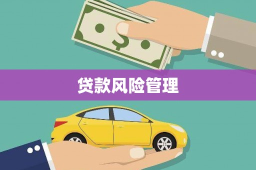 西吉贷款风险管理