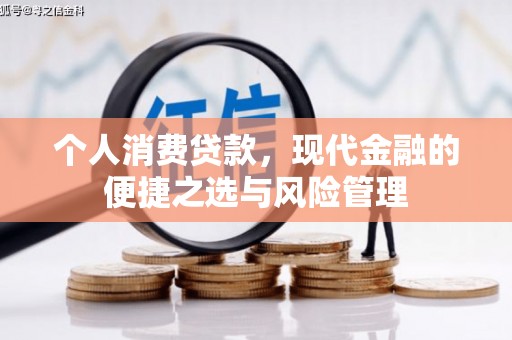 西吉个人消费贷款，现代金融的便捷之选与风险管理