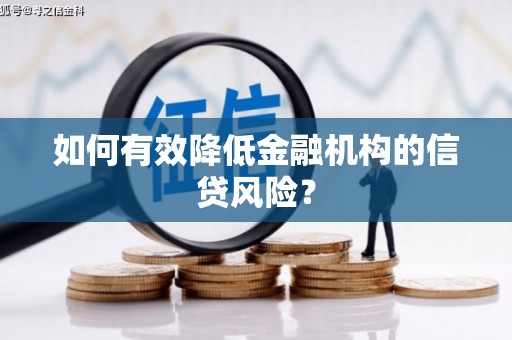 西吉如何有效降低金融机构的信贷风险？