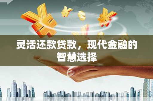 西吉灵活还款贷款，现代金融的智慧选择