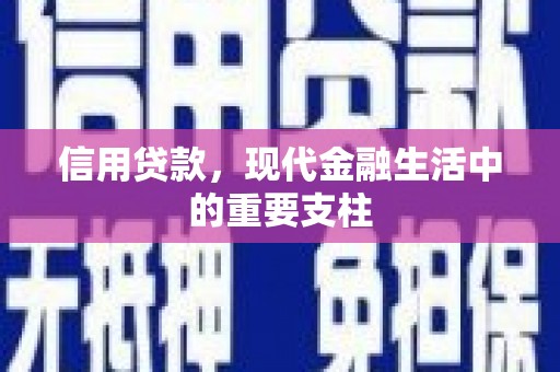 西吉信用贷款，现代金融生活中的重要支柱
