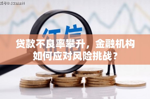 西吉贷款不良率攀升，金融机构如何应对风险挑战？