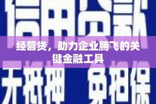西吉经营贷，助力企业腾飞的关键金融工具