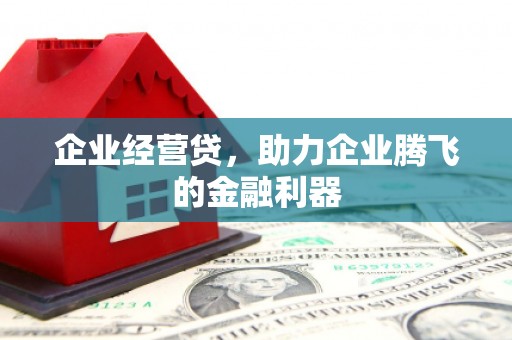 西吉企业经营贷，助力企业腾飞的金融利器