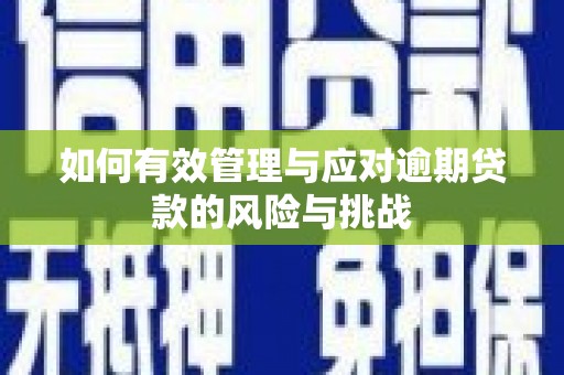 西吉如何有效管理与应对逾期贷款的风险与挑战
