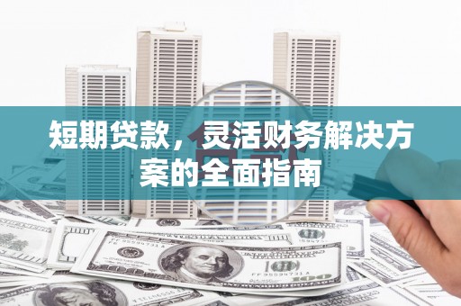 西吉短期贷款，灵活财务解决方案的全面指南
