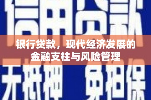 西吉银行贷款，现代经济发展的金融支柱与风险管理