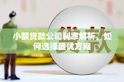 西吉小额贷款公司利率解析，如何选择最优方案