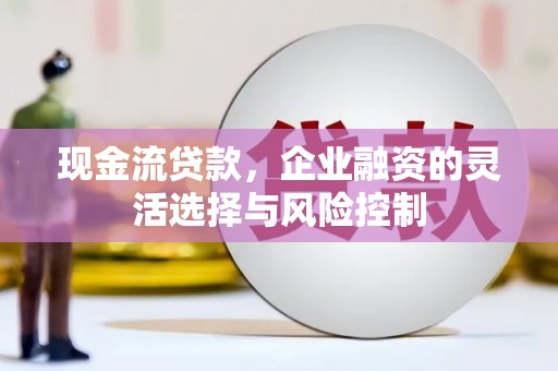 西吉现金流贷款，企业融资的灵活选择与风险控制