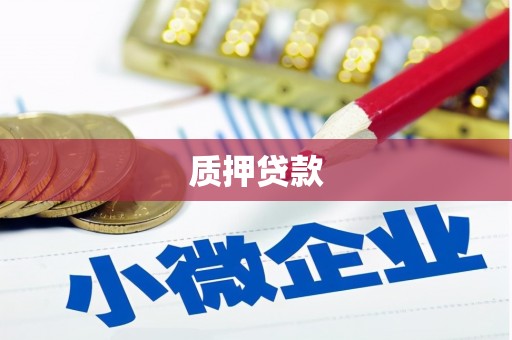 西吉质押贷款