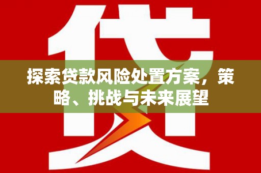 西吉探索贷款风险处置方案，策略、挑战与未来展望