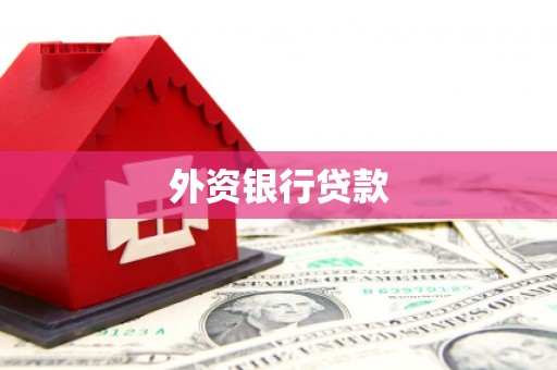 西吉外资银行贷款