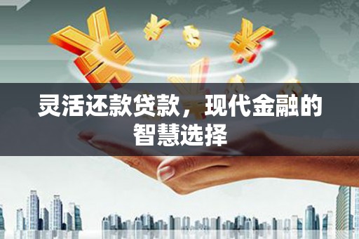 西吉灵活还款贷款，现代金融的智慧选择