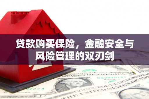 西吉贷款购买保险，金融安全与风险管理的双刃剑
