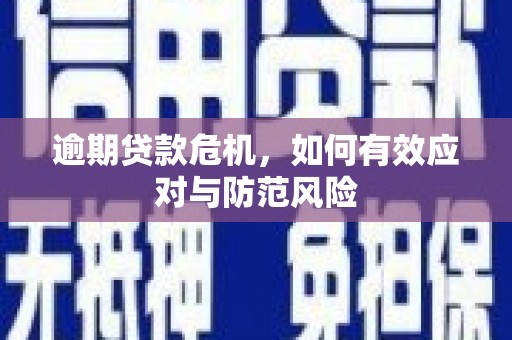 西吉逾期贷款危机，如何有效应对与防范风险
