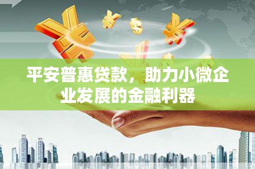 西吉平安普惠贷款，助力小微企业发展的金融利器