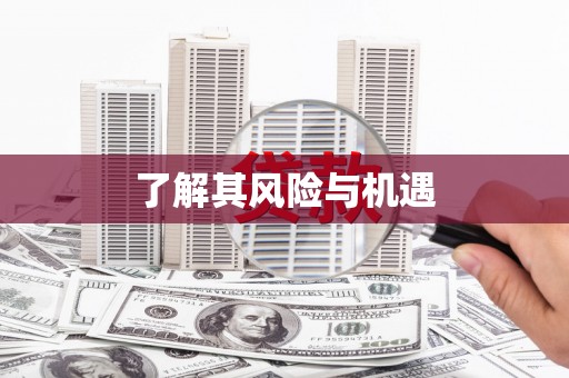 西吉了解其风险与机遇