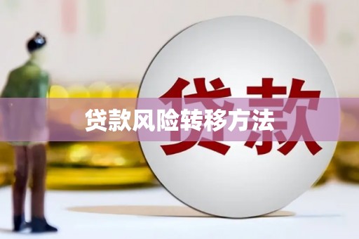 西吉贷款风险转移方法