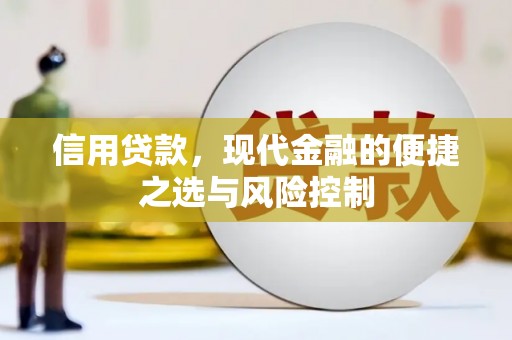 西吉信用贷款，现代金融的便捷之选与风险控制