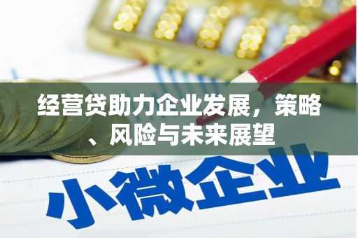 西吉经营贷助力企业发展，策略、风险与未来展望