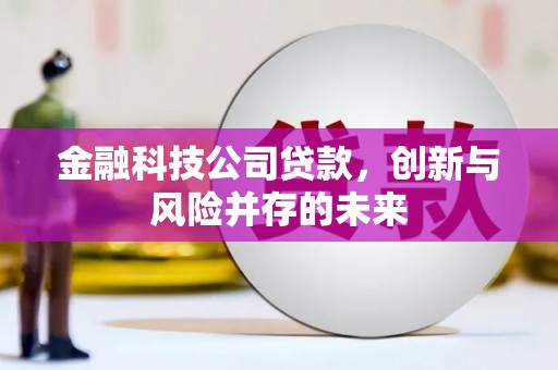 西吉金融科技公司贷款，创新与风险并存的未来