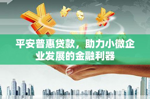 西吉平安普惠贷款，助力小微企业发展的金融利器