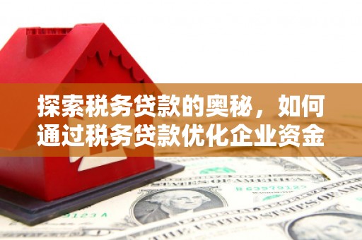 西吉探索税务贷款的奥秘，如何通过税务贷款优化企业资金流