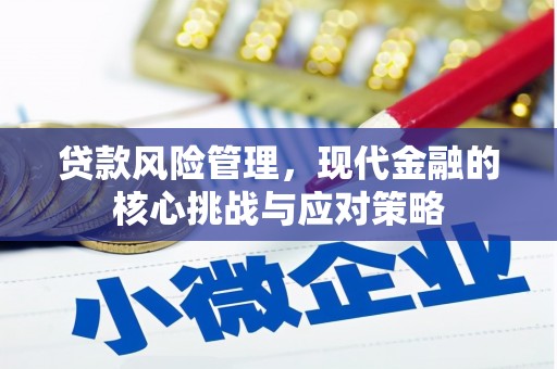 西吉贷款风险管理，现代金融的核心挑战与应对策略