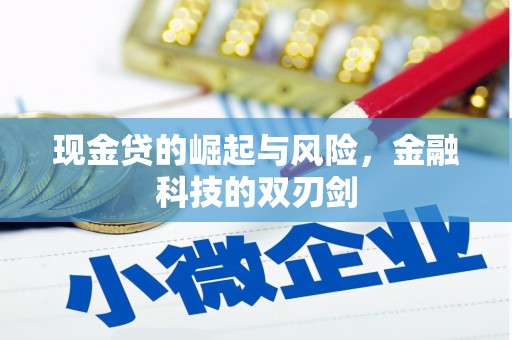西吉现金贷的崛起与风险，金融科技的双刃剑