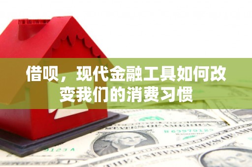 西吉借呗，现代金融工具如何改变我们的消费习惯