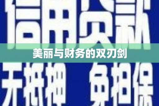 西吉美丽与财务的双刃剑