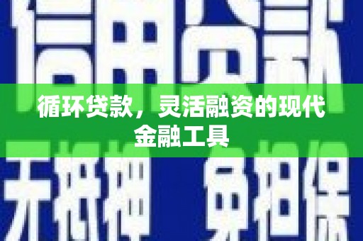 西吉循环贷款，灵活融资的现代金融工具