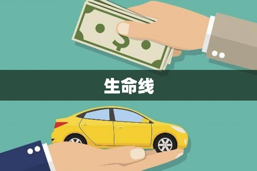 西吉生命线