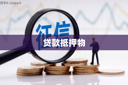 西吉贷款抵押物