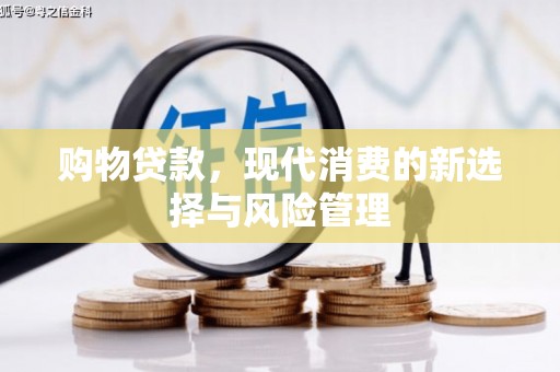 西吉购物贷款，现代消费的新选择与风险管理