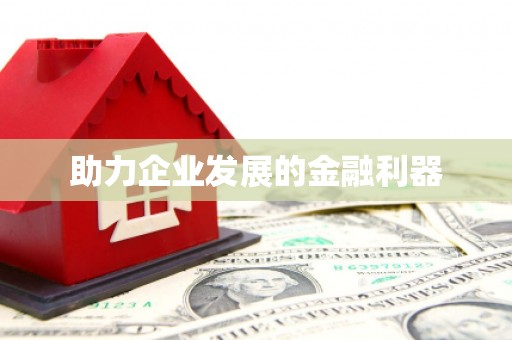 西吉助力企业发展的金融利器