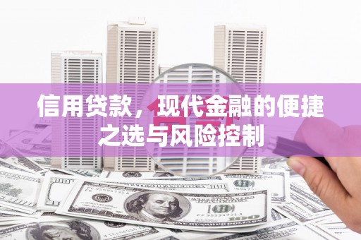 西吉信用贷款，现代金融的便捷之选与风险控制
