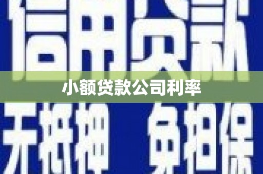 西吉小额贷款公司利率