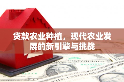 西吉贷款农业种植，现代农业发展的新引擎与挑战