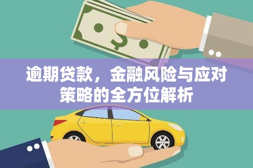 西吉逾期贷款，金融风险与应对策略的全方位解析