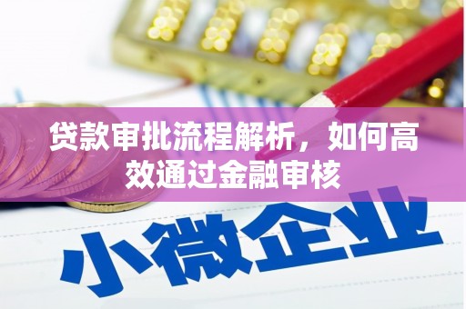 西吉贷款审批流程解析，如何高效通过金融审核